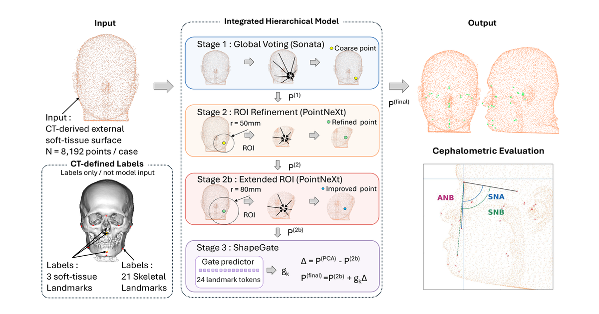 Surface-to-Skeleton 3D Cephalometry: Estimating Hidden Skeletal Landmarks from CT-Derived External Soft-Tissue Surfaces